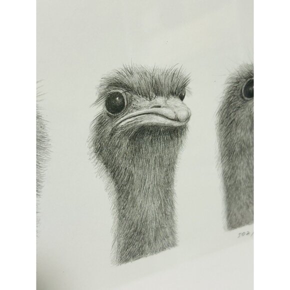 Lou Ferreri Ostriches Print Signed 1991 Edition 502/1000 St Paul Mn Black Frame - Picture 3 of 10